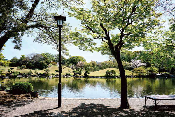 水前寺成趣園 徒歩3分（約240m）