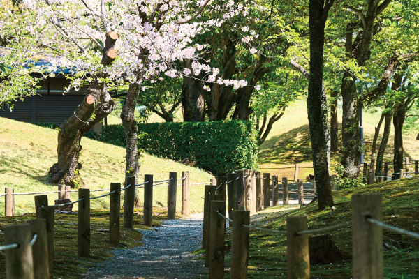 水前寺成趣園 徒歩3分（約240m）